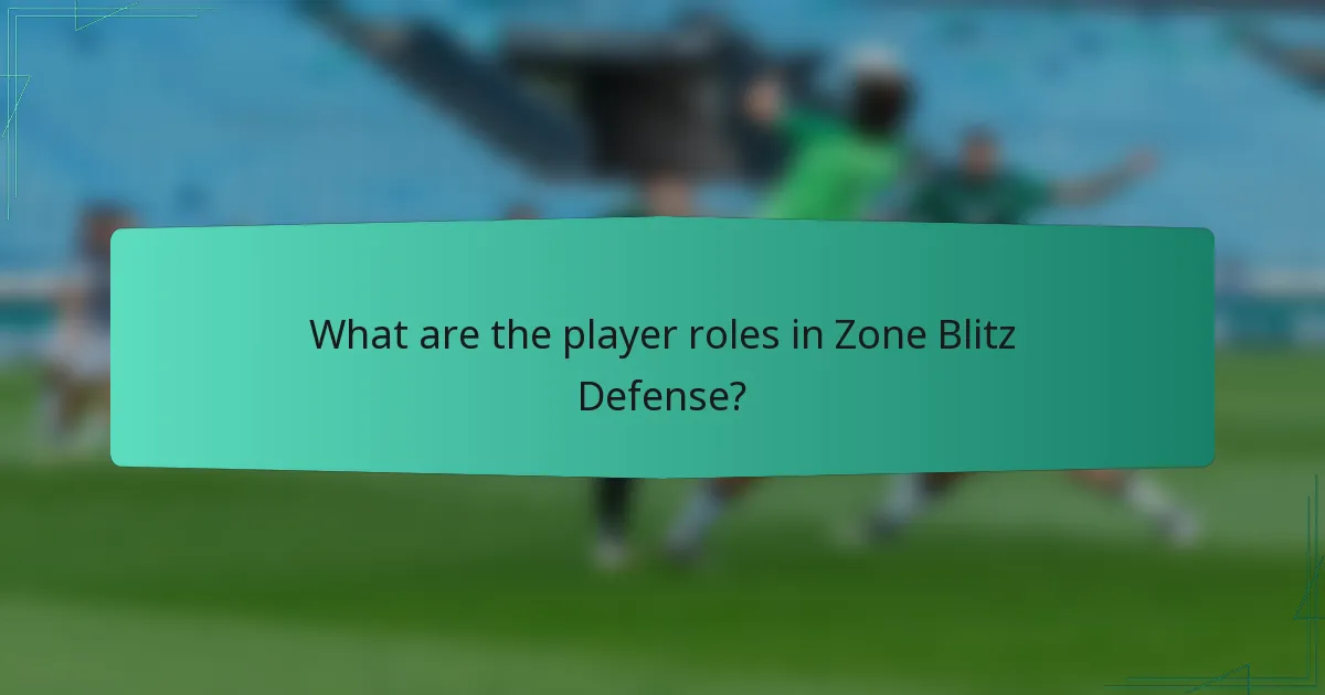 What are the player roles in Zone Blitz Defense?